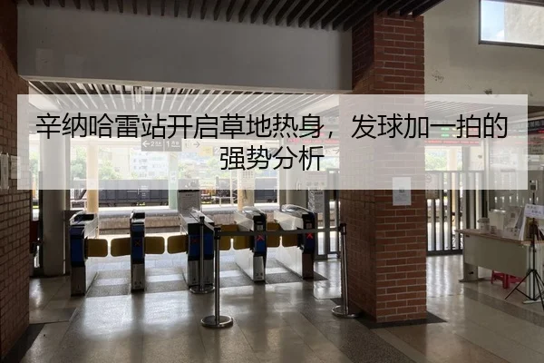 辛纳哈雷站开启草地热身，发球加一拍的强势分析