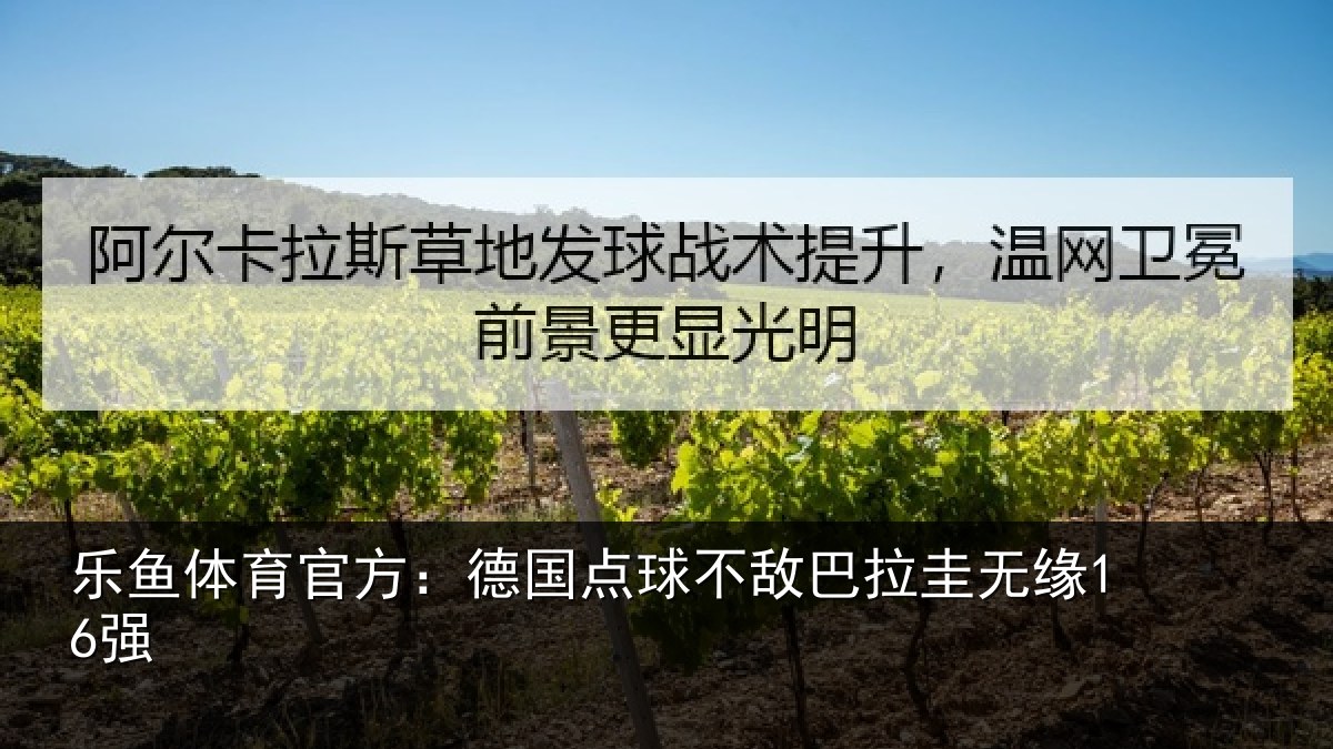 乐鱼体育官方:德国点球不敌巴拉圭无缘16强