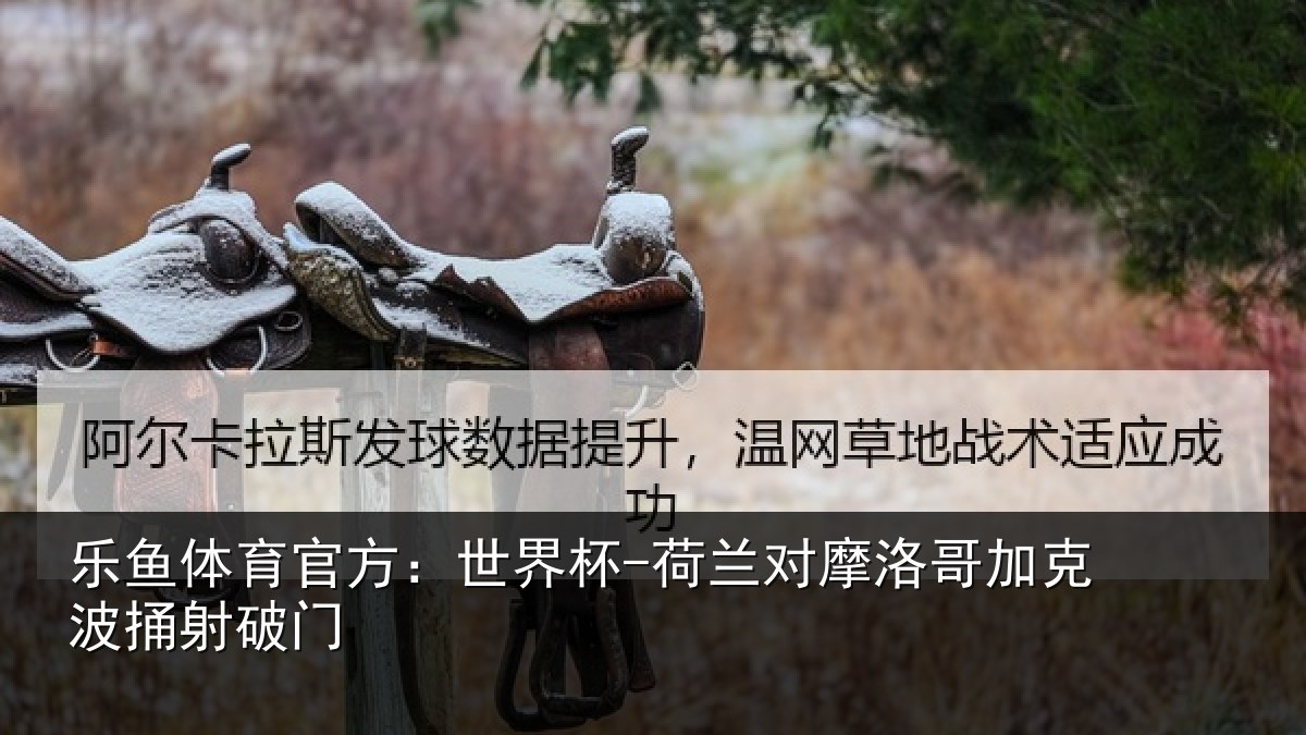 乐鱼体育官方：世界杯-荷兰对摩洛哥加克波捅射破门