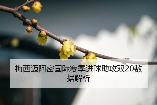mei-xi-mai-a-mi-guo-ji-sai-ji-jin-qiu-zhu-gong-shuang-shu-ju-jie-xi-3-952.jpg